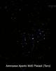 Amm.Ap.M45 Pleiadi Toro.jpg